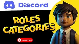 How to make Roles Categories in Discord?