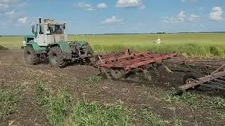 Couples and haymaking #22 We urgently need weather!!!