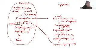 Auricle's Exam Mastery Physiology By Dr.Aanchal | Auricle