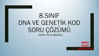 8.SINIF DNA VE GENETİK KOD SORU ÇÖZÜMÜ
