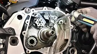 BMW F850 F900 F750 Clutch replacement and clutch basket adjustment