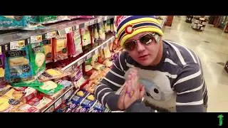 FIRST BXXK - GRILLED CHEEZ prod. Kato (Official Music Video)