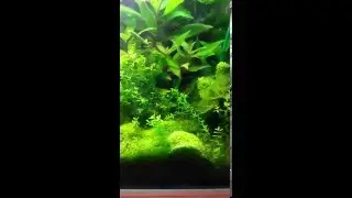 VID 20160410 143407