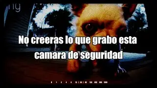 Videos aterradores que te quitaran el sueño | NIVEL EXTREMO