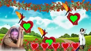 green screen video | how to green screen video | @newweddinggreenscreen1