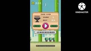 When you play fabby bird