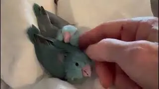So precious!