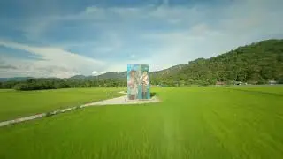 Paddy Field Cruise | Cinematic FPV