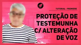 Efeito de proteção a testemunha Premiere | RocketMaster