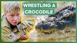 Robert Joins The Dangerous Task Of Moving Bosco The Croc At Australia Zoo | Crikey! It's The Irwins
