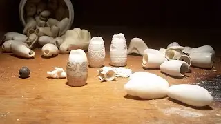 El uso del Uaimo (Oliva scripta), sonajas de olivo en nuestras culturas Ancestrales Caribeñas 🐚