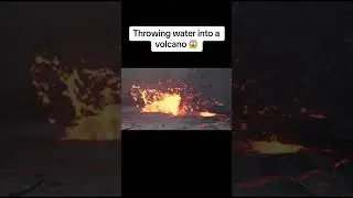 Nature is insane! 😱