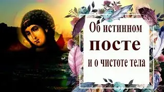 Об истинном посте и о чистоте тела - Пастырь Ерма