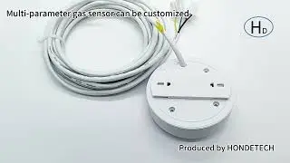 Multi parameter gas sensor can be customized