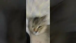 хпхпхахахаахахах