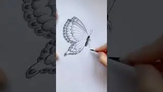 butterfly pencil drawing #beautiful #viralvideo #art #drawing
