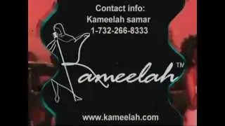 video press kit sample