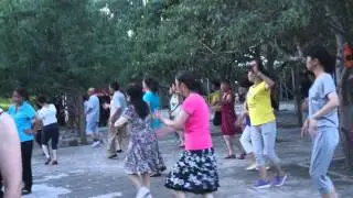 MAH05477