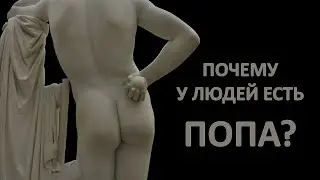 Почему  у людей есть попа?