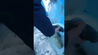 Для хорошего человека не жалко…
