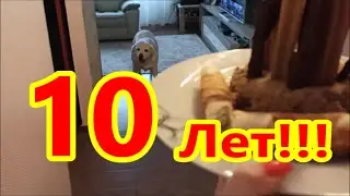 Миссеньке 10 лет!!!