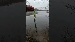 Как выбрать лучшую приманку для спиннинга  
