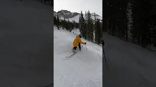 Telemark Skiing | Powder Bumps #freeheellife #skiing