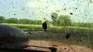 Pringle Mud Bog - July 2nd 2011 - Ford Bronco 514 Stroker