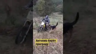 Антонио берёт преграду