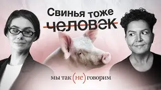 Зачем животным корректность?