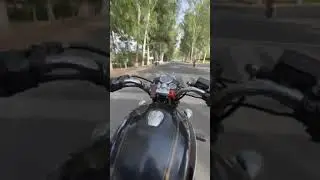 #bulletlover