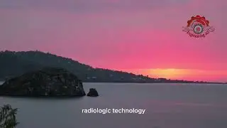 Must Know High paying Jobs Without a Degree