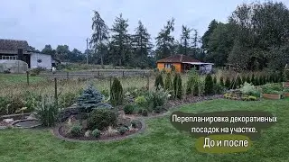 Перепланировка сада. От гортензий к хвойным и злакам. До и после переделки