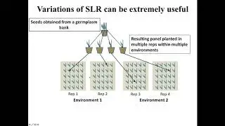 Introduction of Statistical Models for GWAS and GS