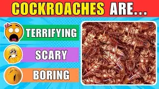 How SCARED are you? 😱 Rate Your Fear | Tier List of Fears