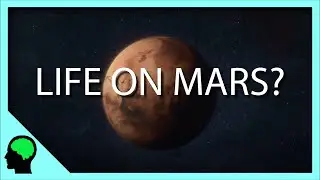 Is There Life On Mars? | Opinion