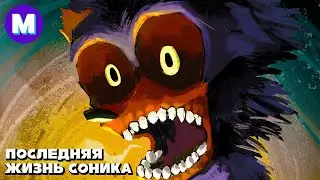 Последняя Жизнь Соника