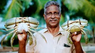 ഞണ്ട് കൃഷി A to Z അറിയേണ്ടതെല്ലാം | Mud Crab Farming