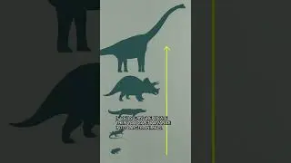 Why we haven't found aliens (pt 1)