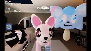 Untitled video