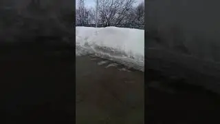 Нашёл кошелёк открыл и обалдел внутри были...