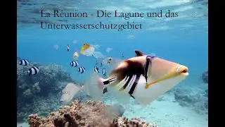 Snorkeling Underwater Schnorcheln tuba La Reunion 2021, Île de la Réunion