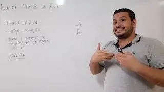 Vetores na Física