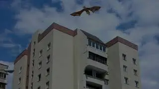 Как нас дурят. Часть 2 How we are fooled. Part 2. Во всем, в чем можно.