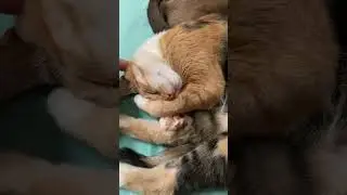 Romeu e Julieta na folga da tarde!!! 