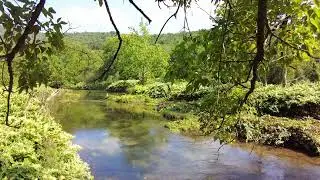 Last Days of Summer, 1 hour view of calm river (East Branch of the Delaware River, Downsville NY