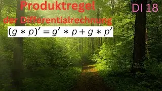Die Produktregel der Differentialrechnung (DI 18)