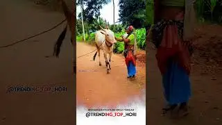 ಮಮತೆಯೆ ಅವಳಿಗೆ ಸಿರಿತನ | ಅಮ್ಮ ಅಕ್ಕರೆ