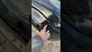 Torn wing on the range