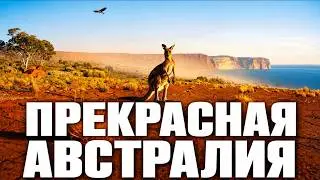 AMAZING AUSTRALIA! From Uluru and the Outback to the Daintree and the Oceans | Documentary Film